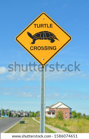 Turtle crossing signpost along the way