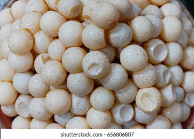 Turtle Eggs 