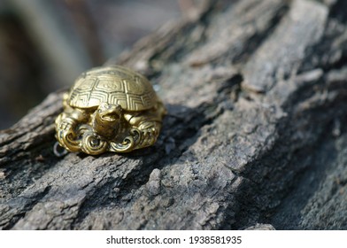 A Turtle Figurine On A Tree Trunk. The Symbol Of Feng Shui.