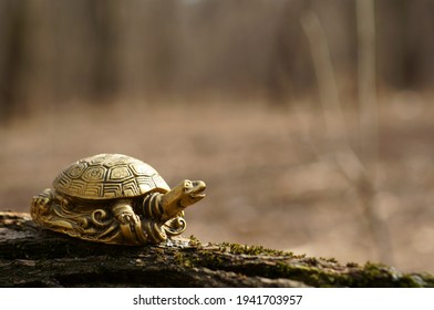 A Turtle Figurine On A Tree Trunk. The Symbol Of Feng Shui.