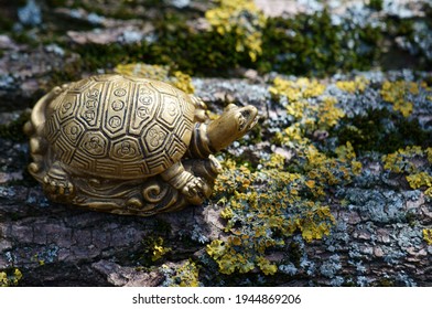 A Turtle Figurine On A Tree Trunk. The Symbol Of Feng Shui.