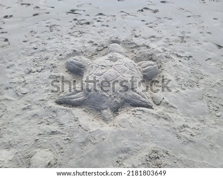 Similar – Zurück ins Wasser Strand