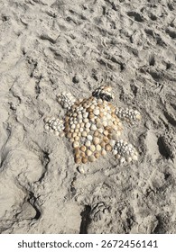 turtle made out of shells on a sandy portugal beach