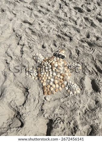turtle made out of shells on a sandy portugal beach