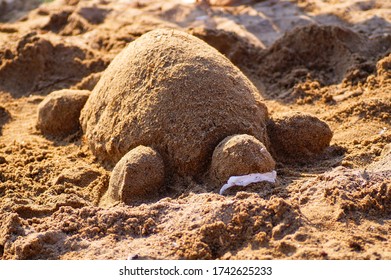 turtle sandbox in stock