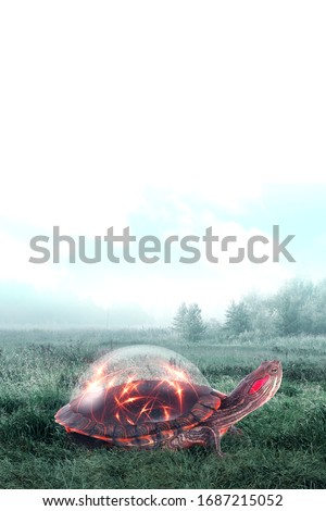 
turtle and magic sphere. Surreal artwork. Manipulation.