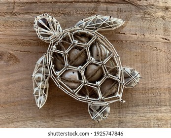 Turtle Nail Strings Art Craft