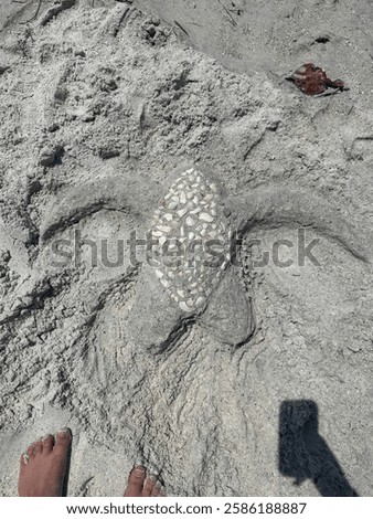 Turtle sand structure with sea shells 