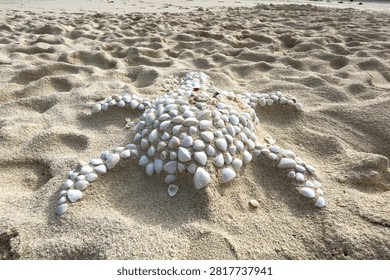 A turtle shape created from seashells on the white sand of Heron Island, Great Barrier Reef, Queensland, Australia.