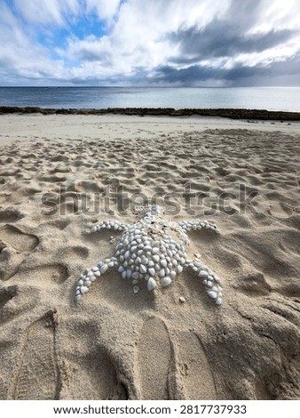A turtle shape created from seashells on the white sand of Heron Island, Great Barrier Reef, Queensland, Australia.