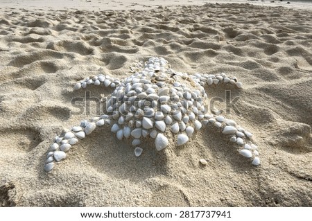 A turtle shape created from seashells on the white sand of Heron Island, Great Barrier Reef, Queensland, Australia.