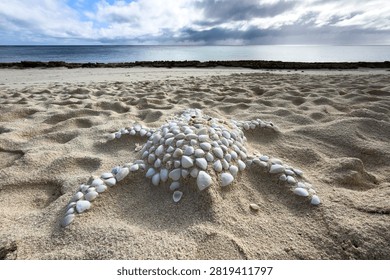 A turtle shape made from white seashells rests on a sandy beach at Heron Island, Great Barrier Reef, Queensland, Australia.