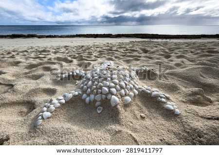 A turtle shape made from white seashells rests on a sandy beach at Heron Island, Great Barrier Reef, Queensland, Australia.