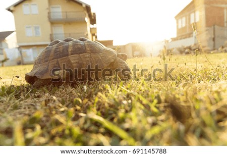 Foto Bild Aufbruchsstimmung Sommer