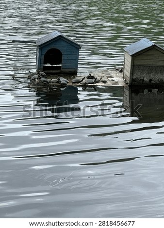 Turtles resting on a floating platform beside wooden shelters on a calm lake with gentle reflections