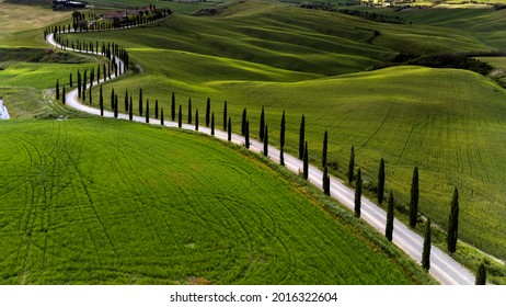 Tuscan Hills With Cypresses, Italy