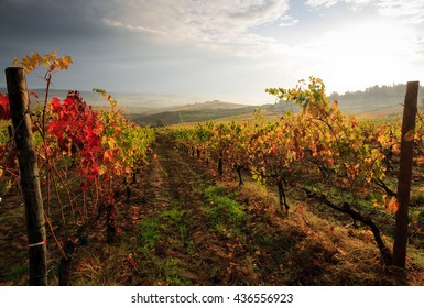 Tuscan Vineyard Landscape In Autumn