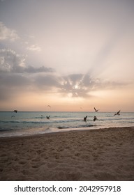 Tuscany Beach Sunset Sand 