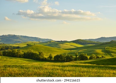 Tuscany hills - Shutterstock ID 294116615