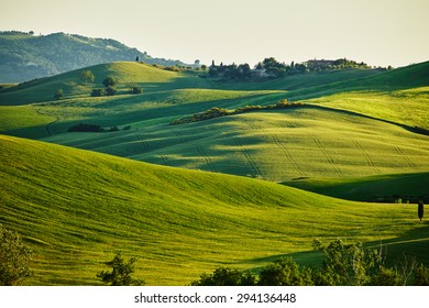 Tuscany Hills