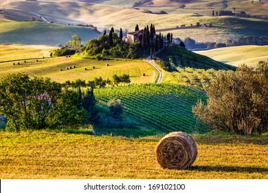 Tuscany, Italian Countryside, landscape