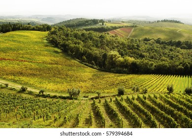 Tuscany Italy Landscape With Vineyard And Rolling Hills In The Chianti Region