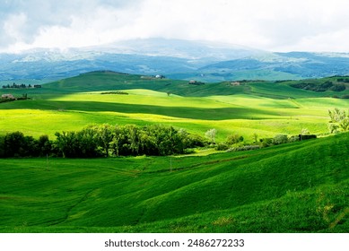 Tuscany, Italy-April 22, 2024: Vibrant green rolling hills in Tuscany, Italy, with scattered farmhouses and a distant mountain backdrop under a cloudy sky. - Powered by Shutterstock