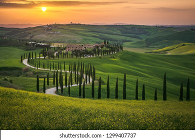 Tuscany landscape in spring fields green meadows