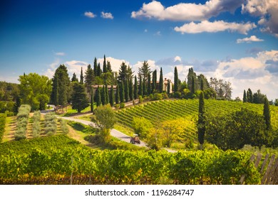 Tuscany Landscape With Vineyards And Cypress Trees, Italy