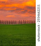 Tuscany, rural landscape in Crete Senesi land. Rolling hills, countryside farm, cypresses trees, green field on warm sunset. Siena, Italy, Europe.