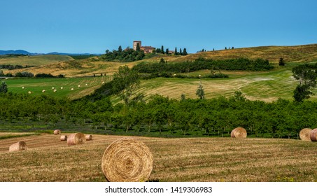 Tuscany Tour