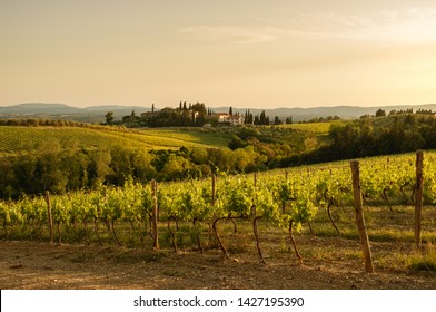 Tuscany sunny landscape. Typical for the region tuscan farm house, hills, vineyard. Italy. landscape of vineyard, nature background panoramic in Chianti area. foggy early morning day