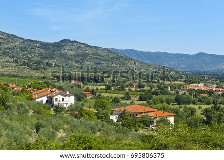 Similar – Image, Stock Photo Olive trees in rows and vineyards in Italy. Olive and wine