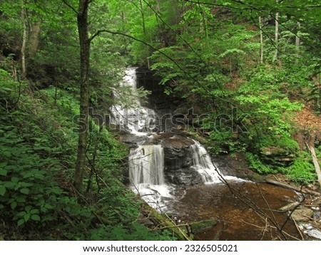Tuscarora Falls tumbles through Ricketts Glen State Park in Benton, Pennsylvania.