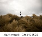 Tussock grass landscape panorama view of black and white Cape Campbell lighthouse on pacific ocean beach in Lake Grassmere Marlborough South Island New Zealand