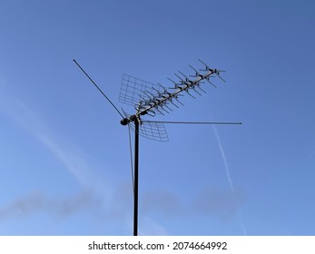 3,335 Short Antennae Images, Stock Photos & Vectors 