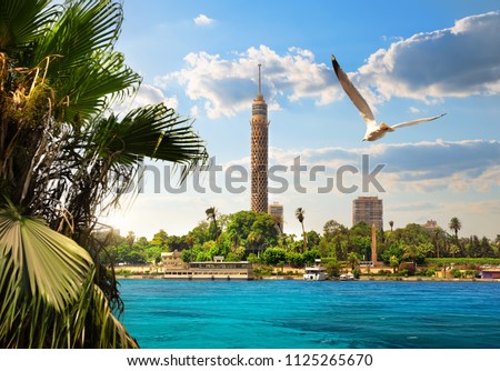 TV tower near Nile in Cairo at sunlight
