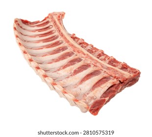 Twelfth Rib Single Twelfth Floating Rib Present Isolated On White Background