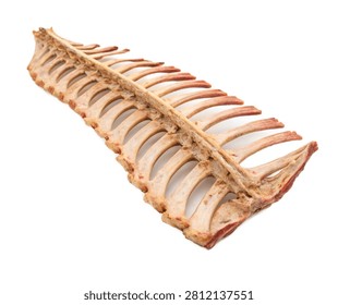 Twelfth Rib Single Twelfth Floating Rib Present Isolated On White Background
