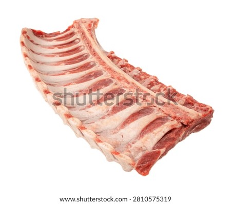 Twelfth Rib Single Twelfth Floating Rib Present Isolated On White Background
