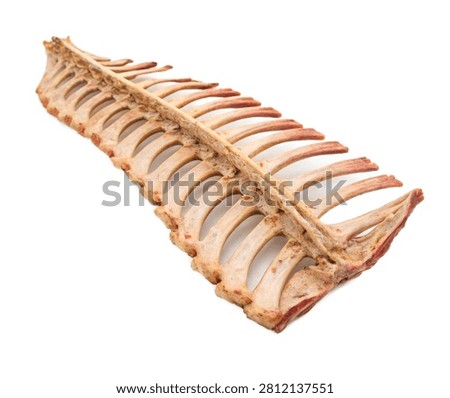 Twelfth Rib Single Twelfth Floating Rib Present Isolated On White Background
