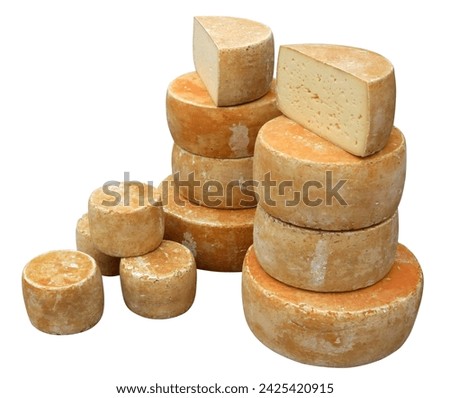 Twelve heads of old aged elite cheese. Isolated on white