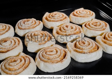 Twelve uncooked cinnamon buns baking on tray in electric oven - close up view. Homemade bakery, food, cooking, pastry and semi-finished products concept