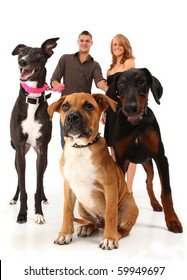 Twenties Couple With Three Dogs, Greyhound, Boxer, Doberman.  Over White Background.