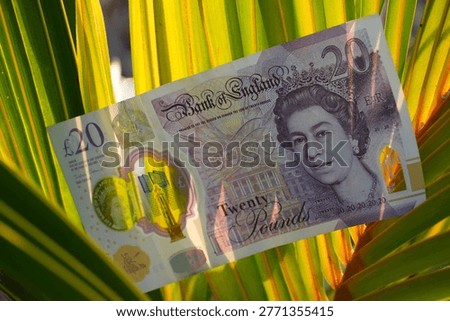 A twenty pound note is gently placed on a vibrant green palm leaf, showcasing a unique blend of finance and nature.