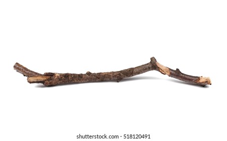 90,669 Dry twig Stock Photos, Images & Photography | Shutterstock