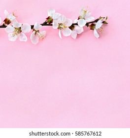 Art Spring Blooming Spring Flowers On Stock Photo (Edit Now) 377232712