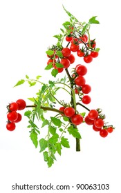 Twig Of Fresh Cherry Tomato Isolated On White Background