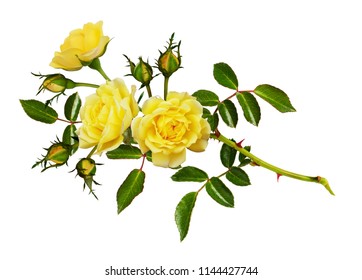 Flower Illustration Stock Illustration 115621918 | Shutterstock