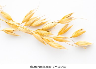 Twig Of Oats On A White Background. Top View